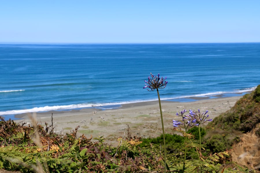 The California coastline, protected under the California Coastal Act