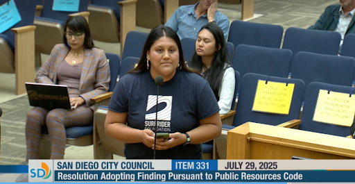 Joana-SD-City-Council